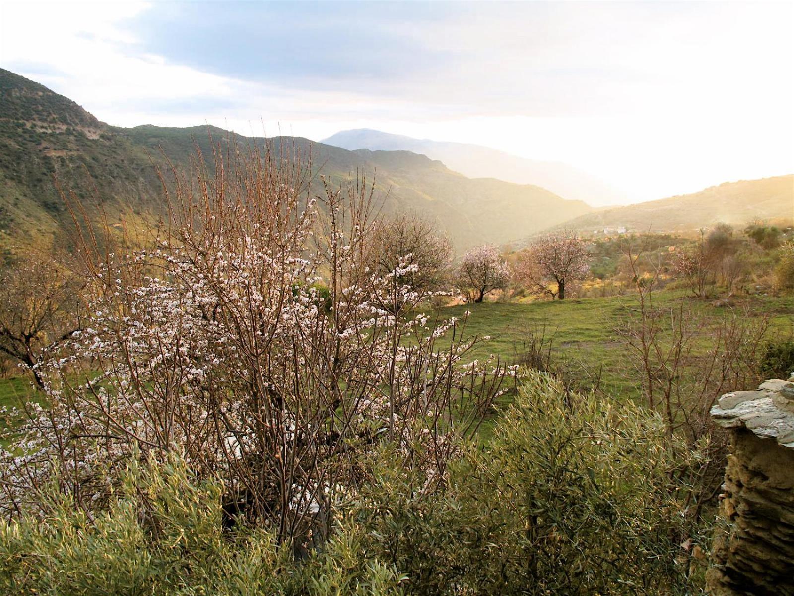 Rural House, Heated Pool & Steam Room, Casa Aloe. Atalbeitar Luaran gambar